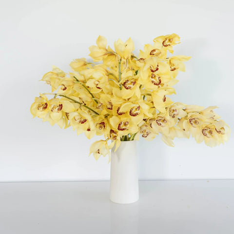 Yellow Cymbidium Orchids Vase - Image