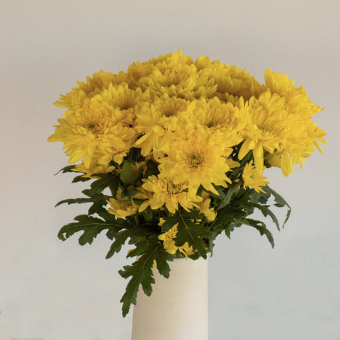 Yellow Dahlia Style Cushion Flower Vase - Image