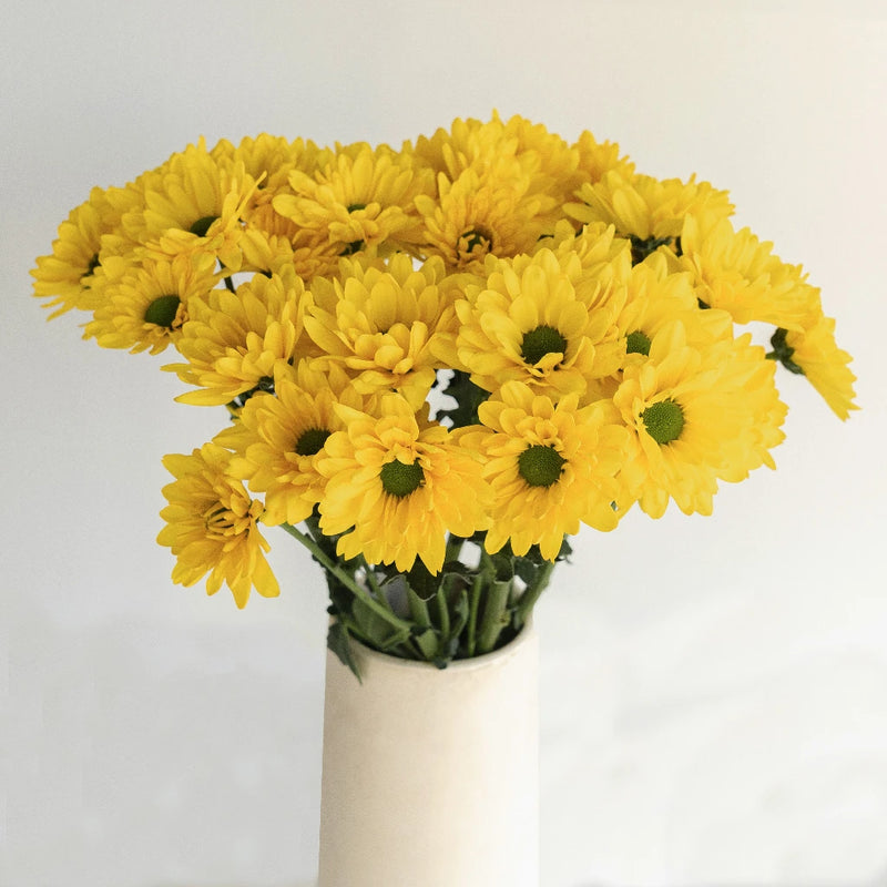 Yellow Daisy Flowers Vase - Image