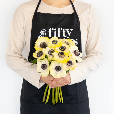 Yellow Enhanced Anemone Fresh Cut Anemones Apron - Image