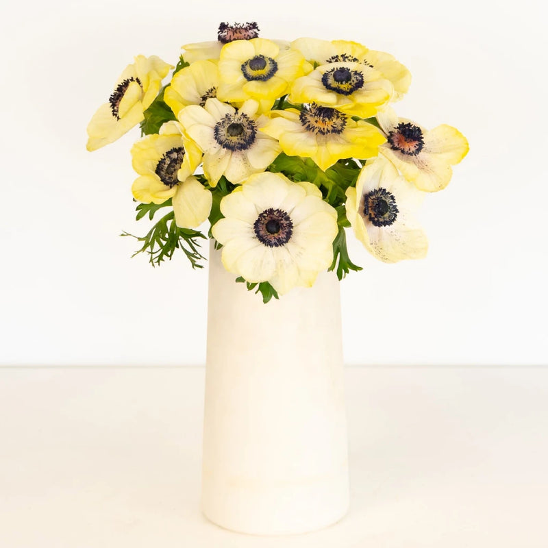 Yellow Enhanced Anemone Fresh Cut Anemones Vase - Image