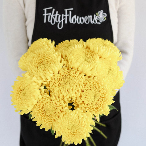 Yellow Football Mum Flower Apron - Image