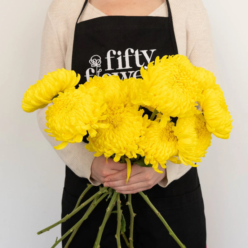 Yellow Football Mum Yellow Football Mum Flower Apron - Image