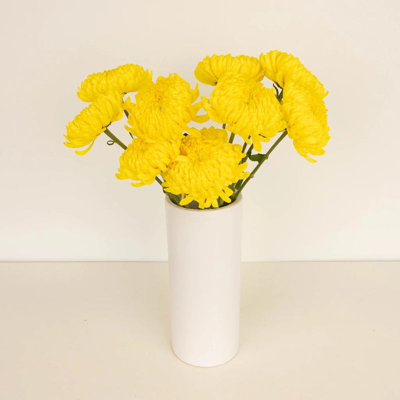 Yellow Football Mum Yellow Football Mum Flower Vase - Image