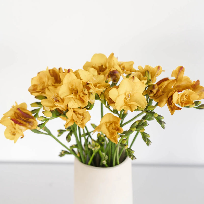 Yellow Freesia Flower Vase - Image