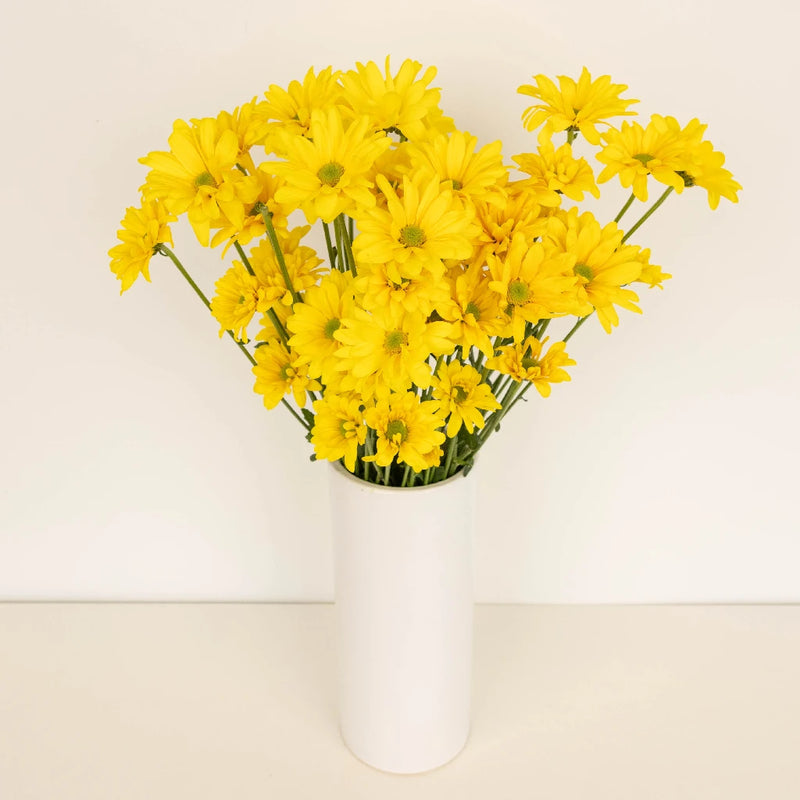 Yellow Micro Pom Flower Apron - Image