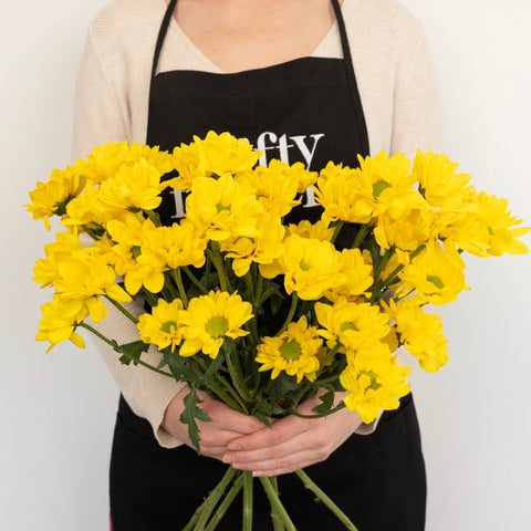 Yellow Micro Pom Flower Stem - Image