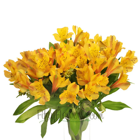 Yellow Peach Peruvian Lilies Vase - Image