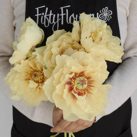 Yellow Peonies Flower November Delivery Apron - Image