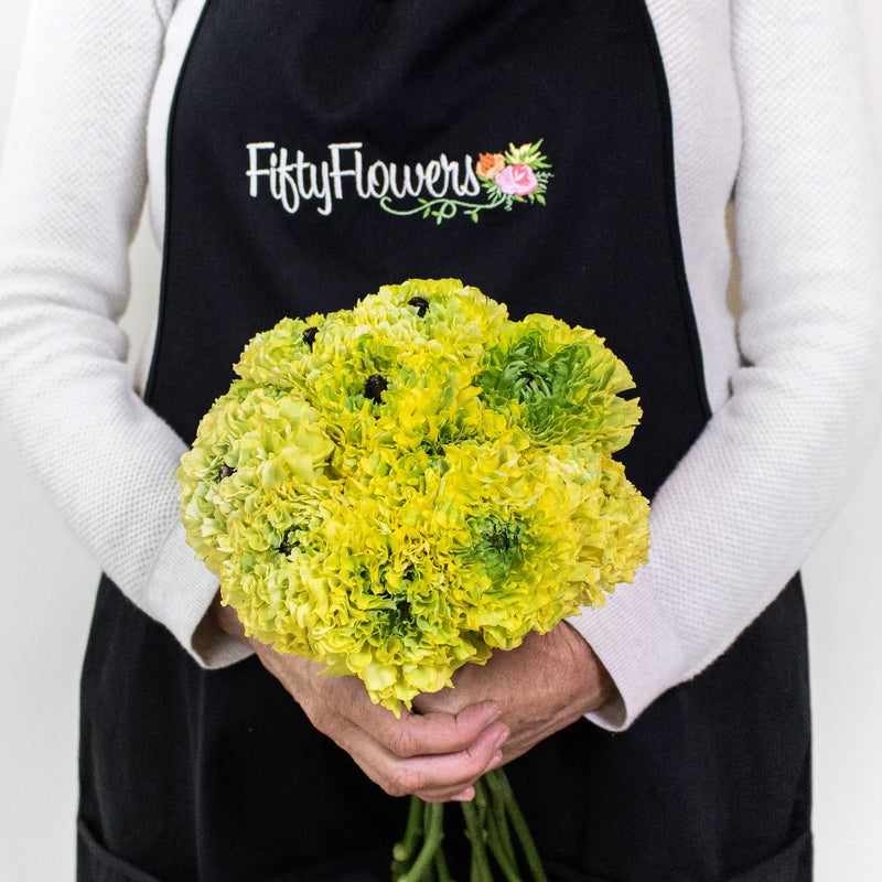 Yellow Pon Pon Ranunculus Flowers in Hand