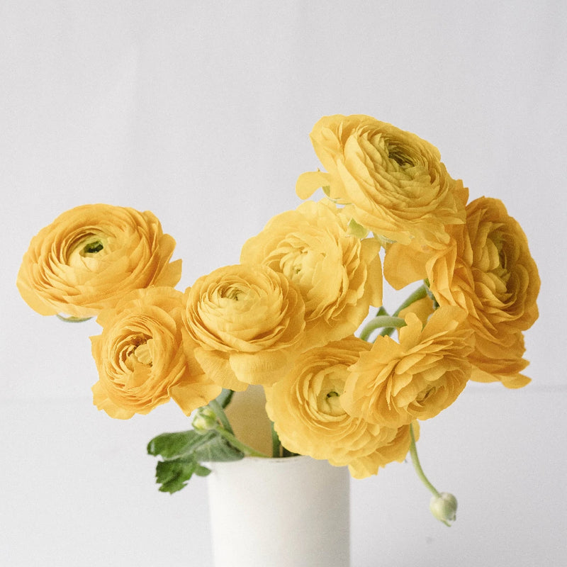 Yellow Ranunculus Vase - Image