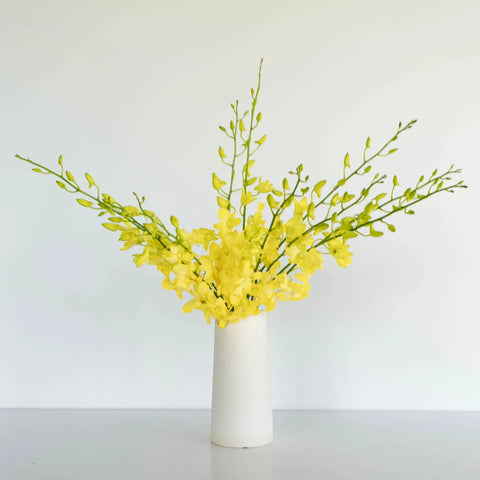 Yellow Sapphire Dendrobium Orchid Flower Vase - Image