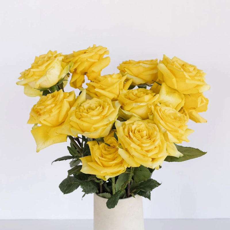 Yellow Stardust Roses Vase - Image