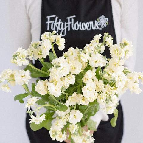 Yellow Fragrant Spray Stock Flower