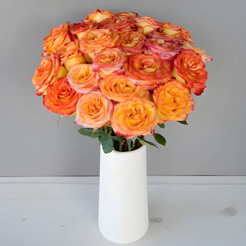 Yellow with Red Edge Valentines Day Rose Special