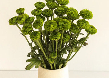 Yoko Ono Mini Button Pom Green Flower