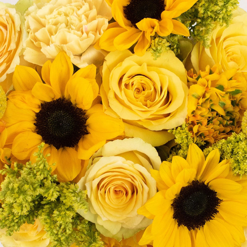 Zazibar Yellow Flower Kit in Hand