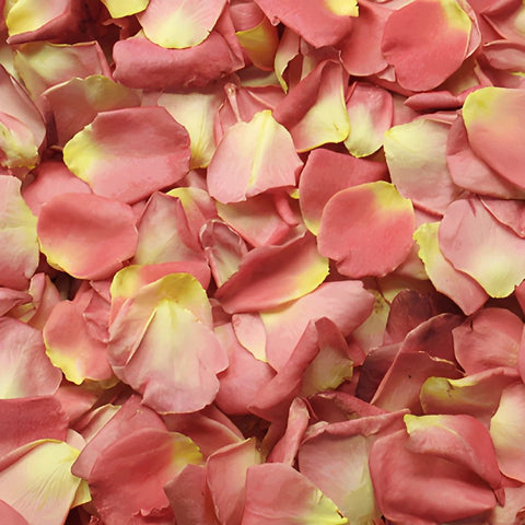 Peach Dried Rose Petals