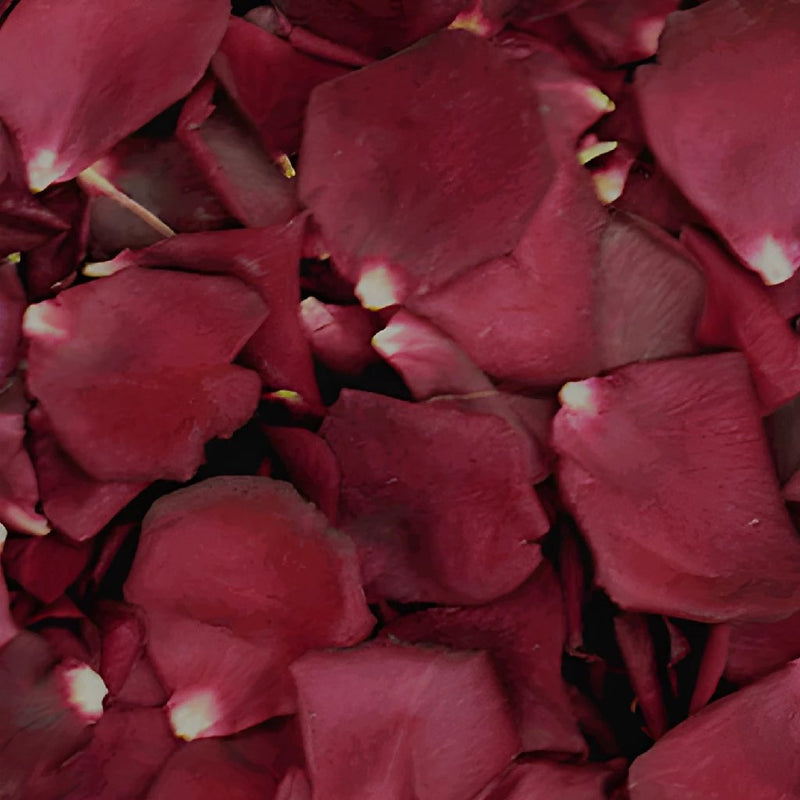 Burgundy Dried Rose Petals