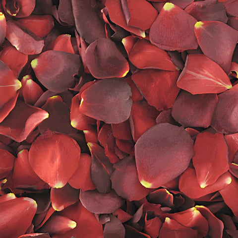 Red Dried Rose Petals for Weddings