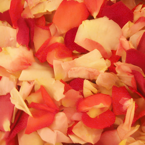 Touch of Pink Dried Rose Petals