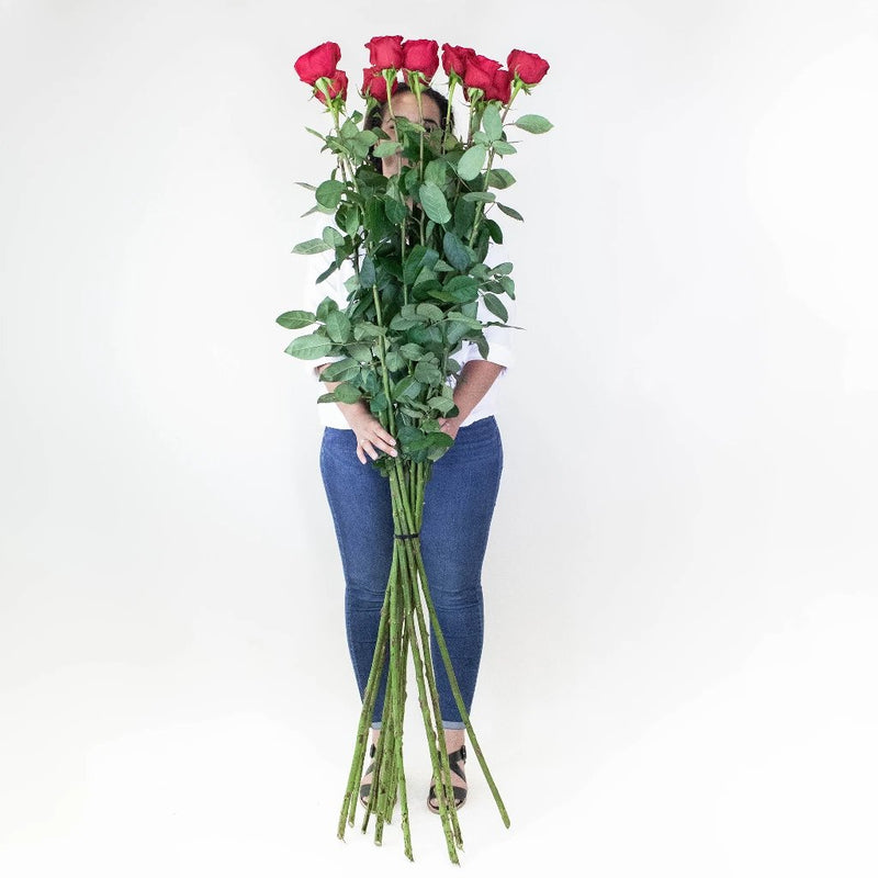 Tall Freedom Red Wholesale Rose Bunch in a hand