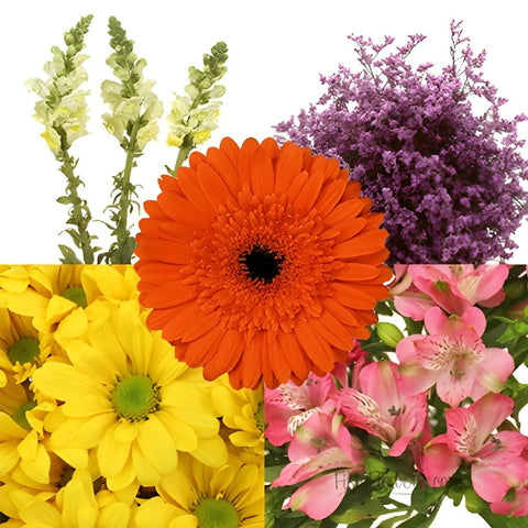 Fresh Cut Flowers Assorted Mothers Day Combo Pack