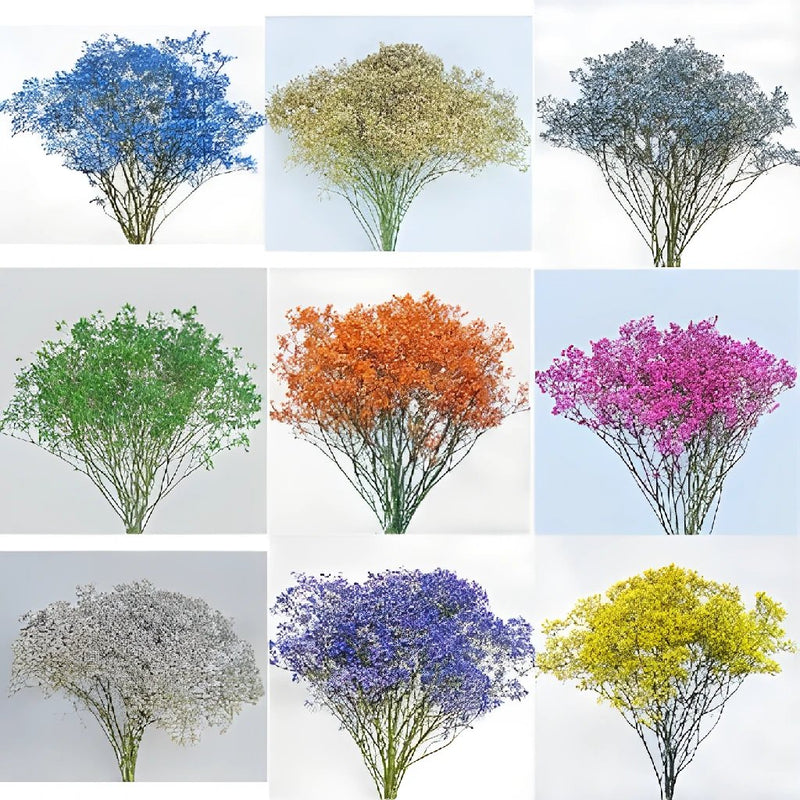 Choose Your Own Airbrushed Baby's Breath
