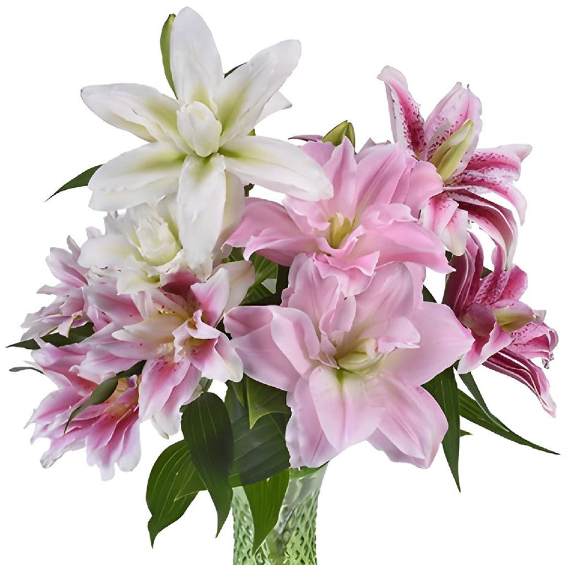 Assorted Rose Lily