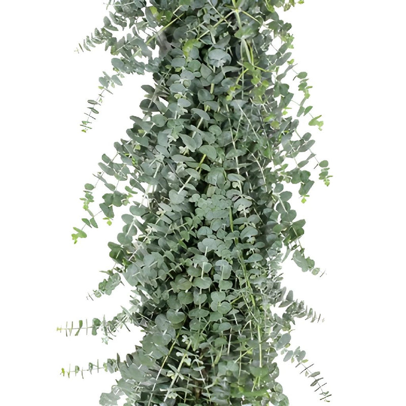 Buy Wholesale Olive Greens Garland in Bulk - FiftyFlowers