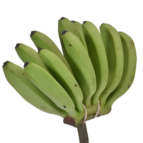 Mini Green Bananas