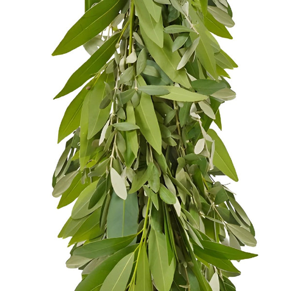 Buy Wholesale Olive Greens Garland in Bulk - FiftyFlowers