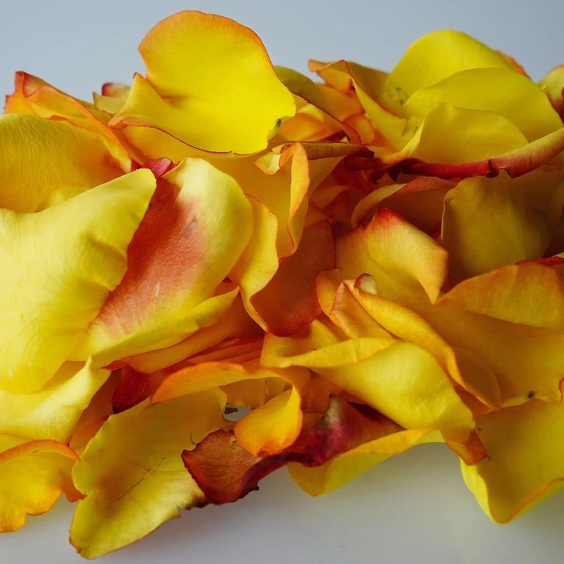 Sunset Real Roses Petals