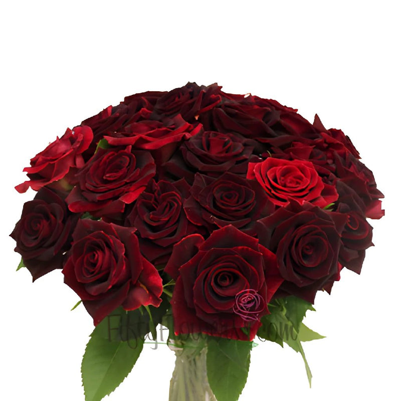 Scarlett Ohara Red Sweetheart Rose