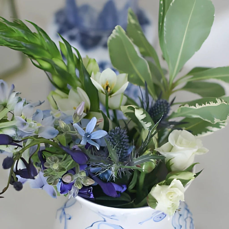 Sarah-Molly Blue & White Flowers Combo Box