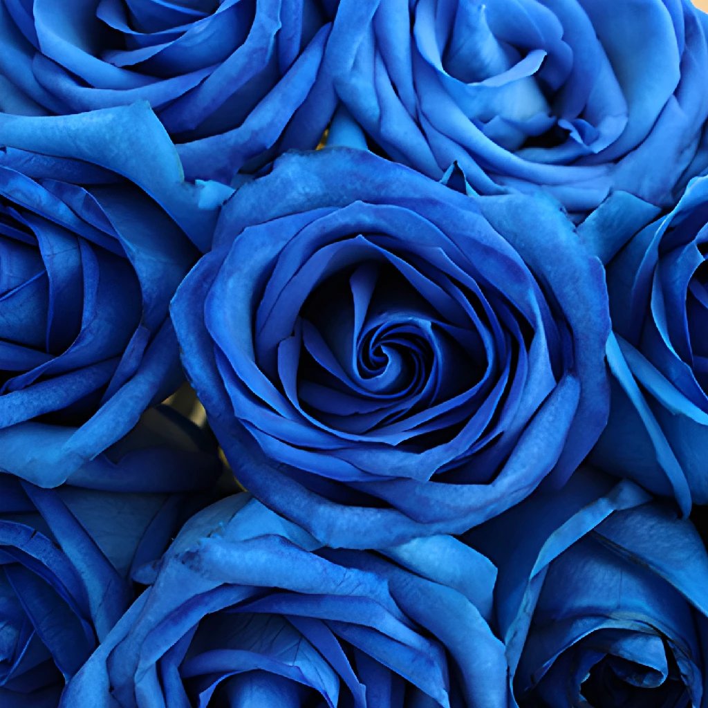 Blue Roses Tinted Arrangement