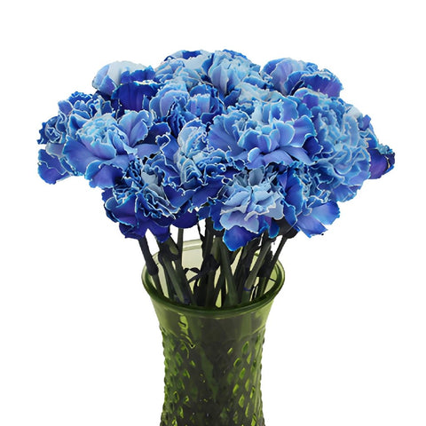 Blue Carnation Flowers In a vase