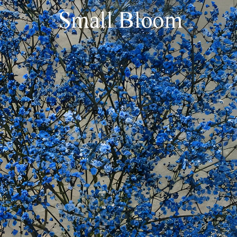 Blue Baby's Breath Flower