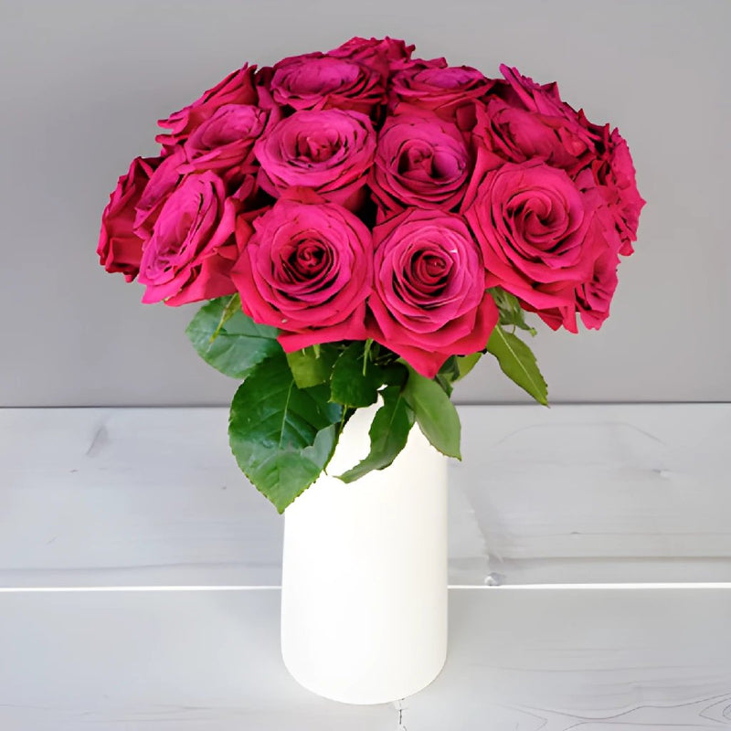 Valentines Hot Pink Rose Special