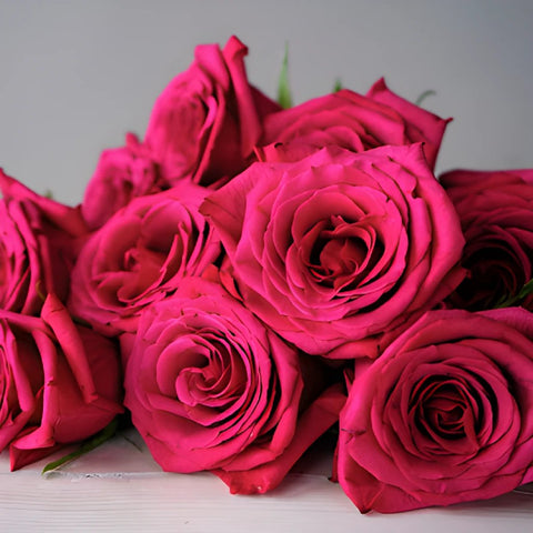 Valentines Hot Pink Rose Special