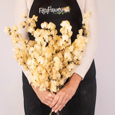 Buy Wholesale Dried Flowers in Bulk - FiftyFlowers