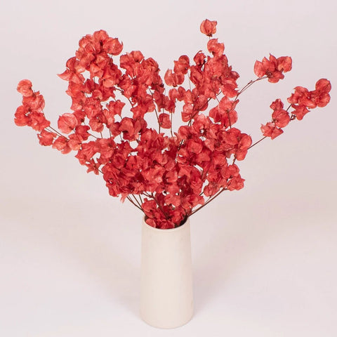 Bougainvillea Red Wholesale Flowers in a Vase