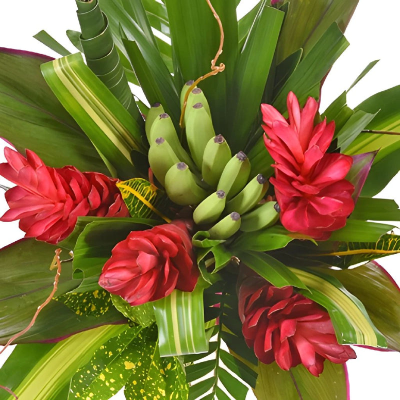 Sweet and Sassy Tropical Centerpiece