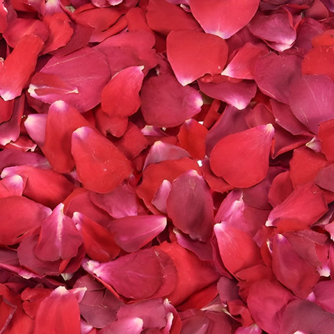 Red Rose Petals for Weddings
