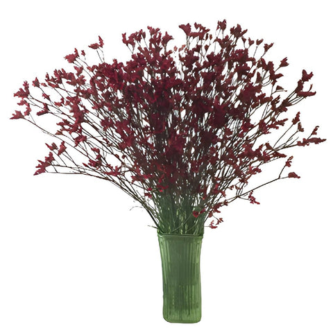 Cranberry Airbrushed Limonium Flowers