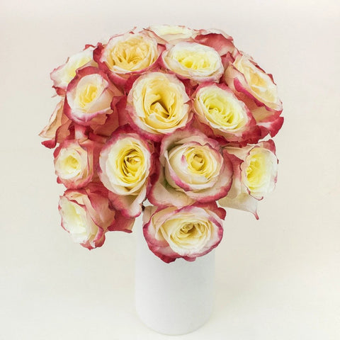 Cabaret Yellow and Red Wholesale Roses In a Vase