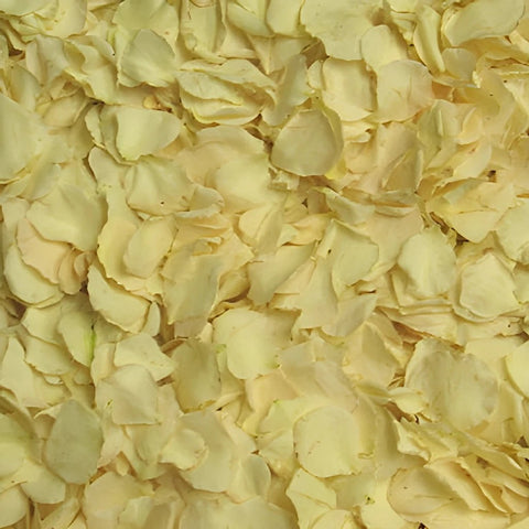 Champagne Dried Rose Petals