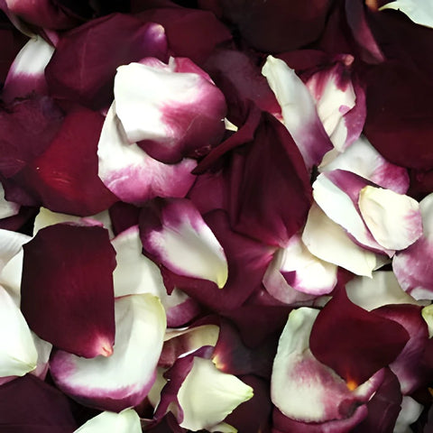Winter Freeze Dried Rose Petals