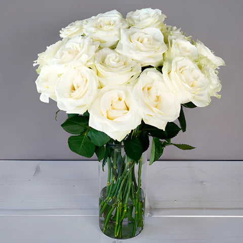 Mondial White Rose