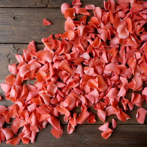 Buy Wholesale Salmon Pink Rose Petals in Bulk - FiftyFlowers